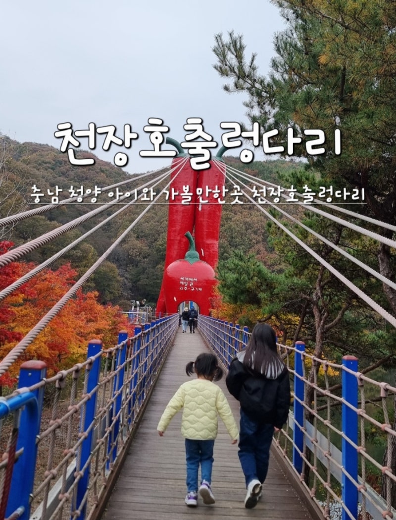 청양 아이와 가볼만한곳 천장호출렁다리 가을여행