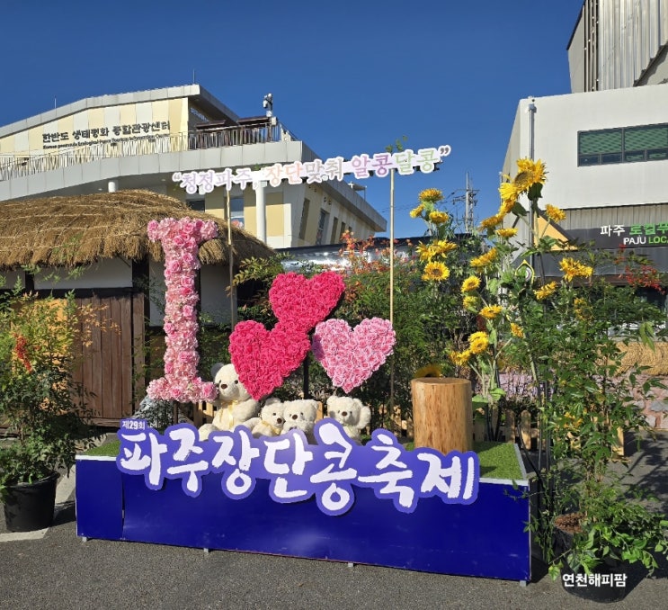  2025년 파주 장단콩 축제 후기 첫날 리뷰 서리태 백태 가격 정보