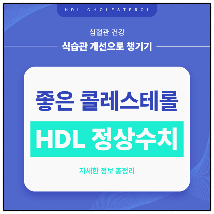  HDL콜레스테롤 60 정상수치 유지하는 건강 루틴 추천