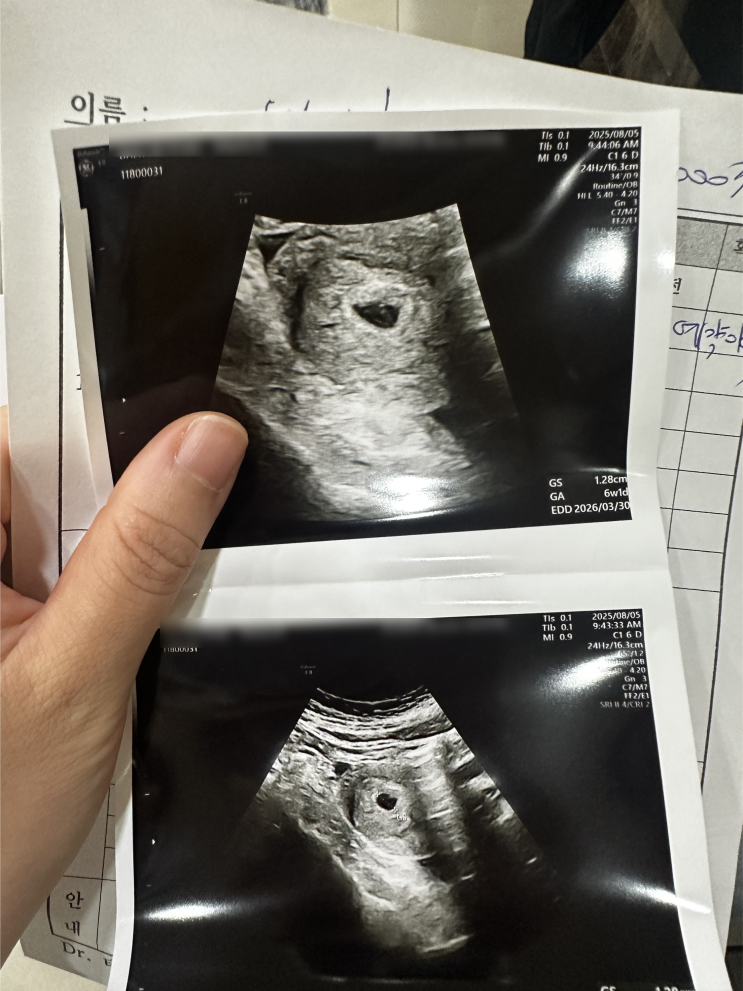  친정엄마 산후도우미 산모신생아건강관리사 교육과정 교육신청 방법 비용 정리