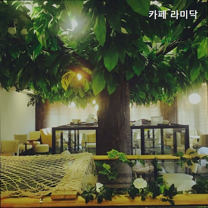 카페라미닥 사진 4
