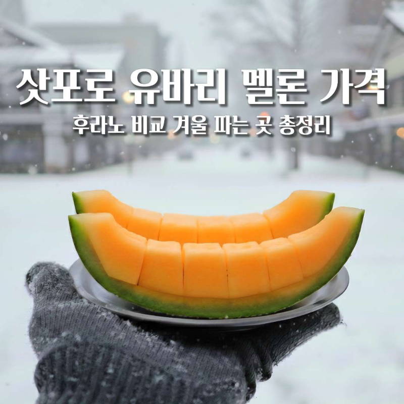삿포로 유바리 멜론 가격 후라노 비교 겨울 파는 곳 판매처 구입