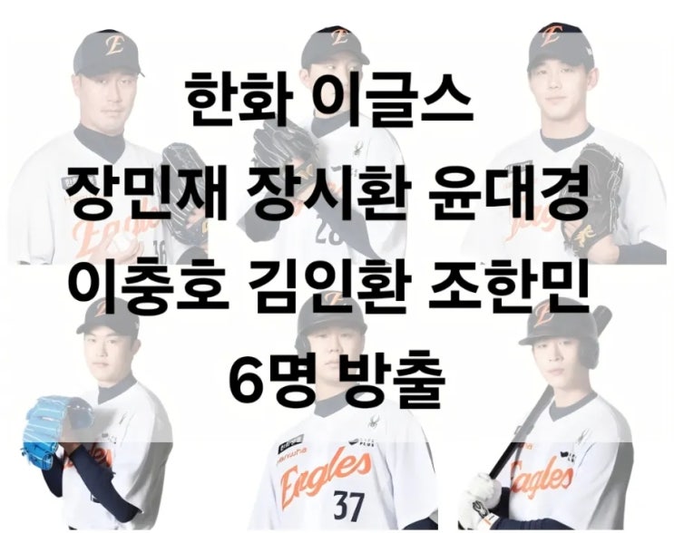 <b>한화</b> 이글스 투수 <b>장민재</b>... 내야수 김인환 조한민 6명 <b>방출</b>