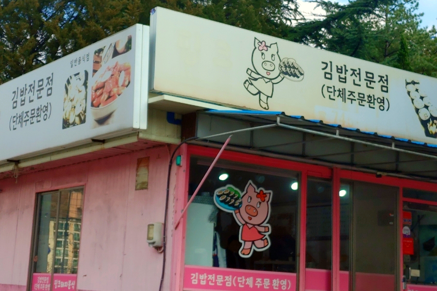 눈어치 사진 4