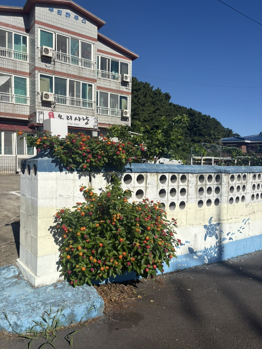 별도봉오리사냥 사진 1