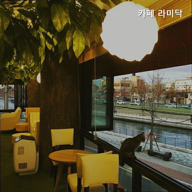 카페라미닥 사진 5