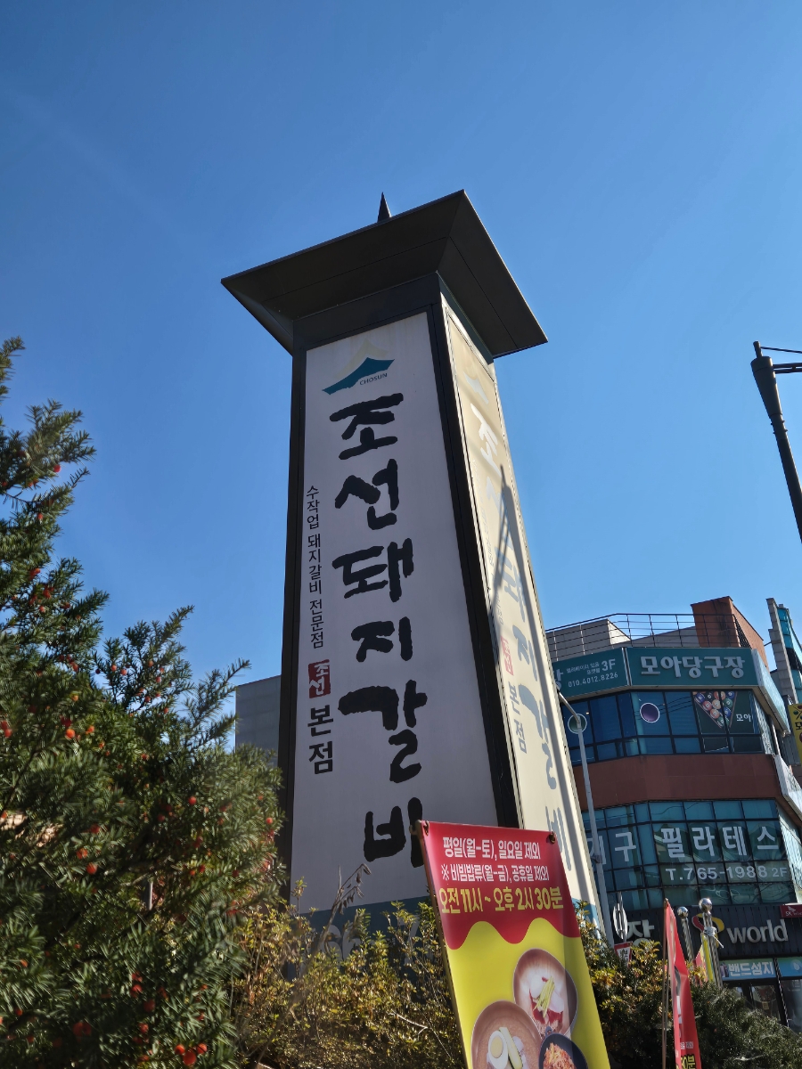 가비 사진 2