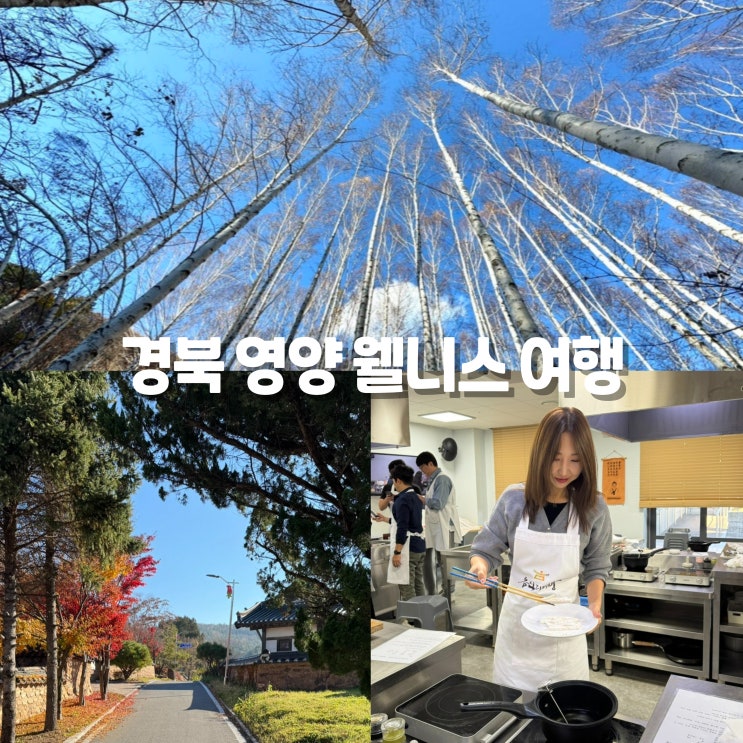 경북 <b>영양</b> 가볼만한곳 웰니스여행 <b>자작나무숲</b> 두들마을