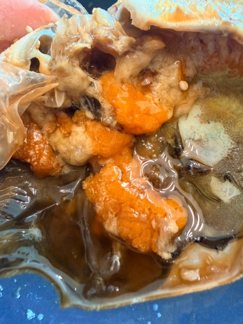 [집밥 레시피] 안 끓이는 이영자st 간장게장  담그기  2kg!