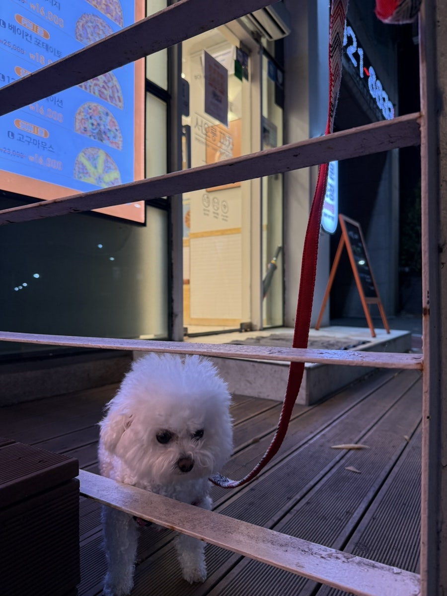 서오릉피자 탄현점 사진 6
