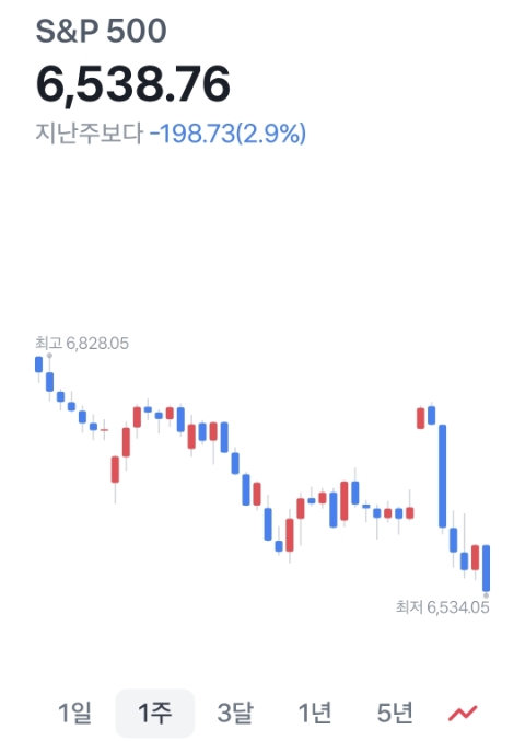 주식 폭락장 관망일지
