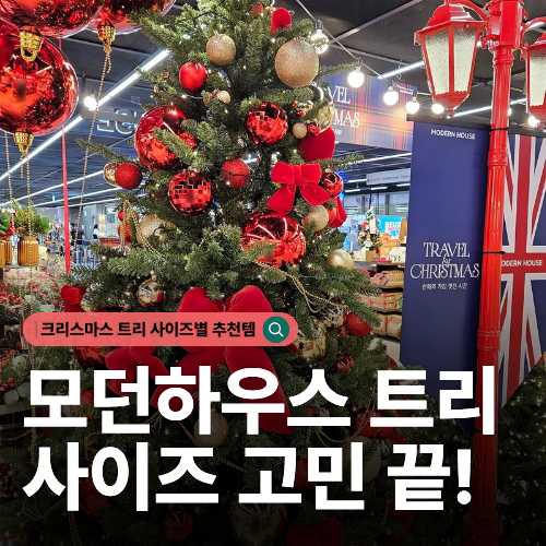  모던하우스 크리스마스 트리 종류 가격 사이즈까지 한번에 정리