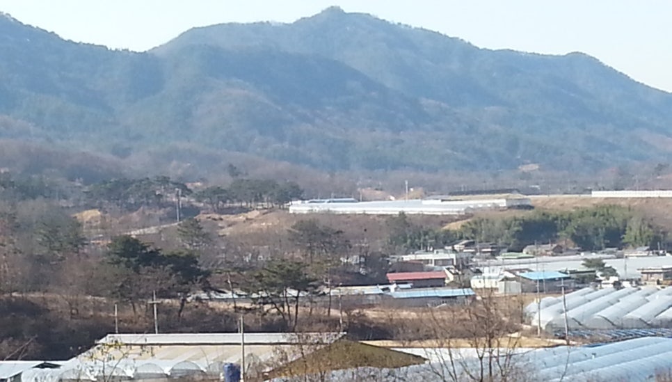가장골 사진 4