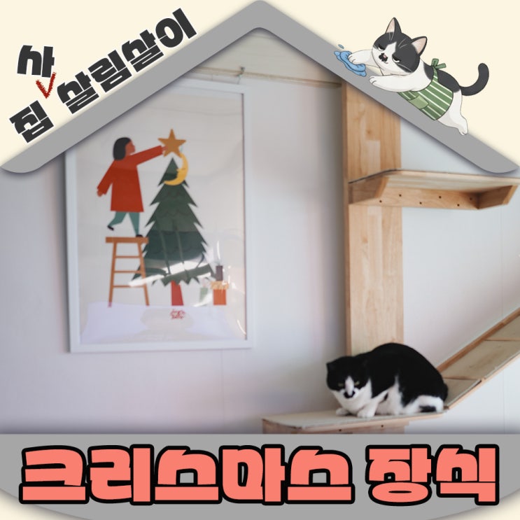  고양이집 트리 괜찮을까? 안전하게 꾸미는 크리스마스 가이드