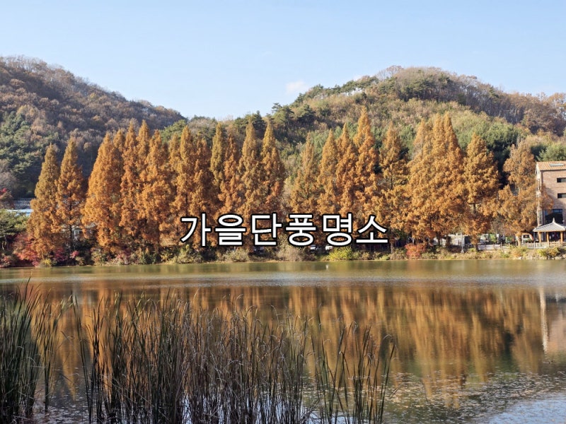 가을 단풍 명소 충청남도 가볼만한곳 계룡 입암저수지 단풍