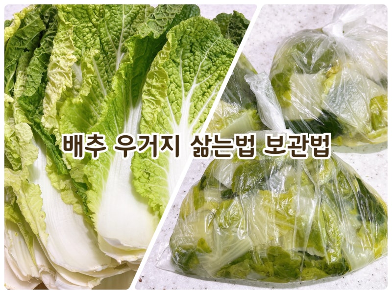 배추 우거지 삶는 법 시간 시래기 차이 배추 시래기 만들기