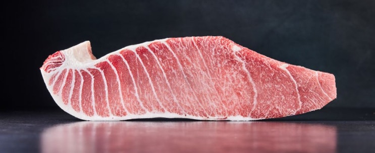  [강남 참치 맛집] 골드참치의 3가지 원칙 - 최고급·추가요·예쁨