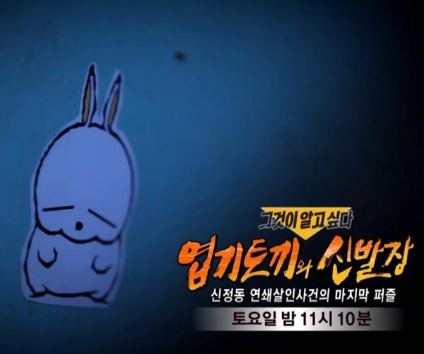  신정동 연쇄살인 진범 확인… ‘엽기토끼 사건’과 완전히 다른 결말
