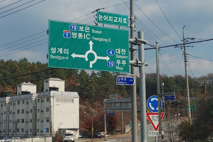 눈어치 사진 1
