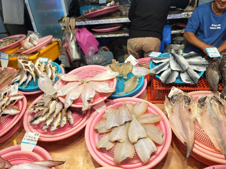  삼천포 용궁수산시장 반건조생선 추천 사천사랑상품권 10% 할인받는 꿀팁  전기차 주차
