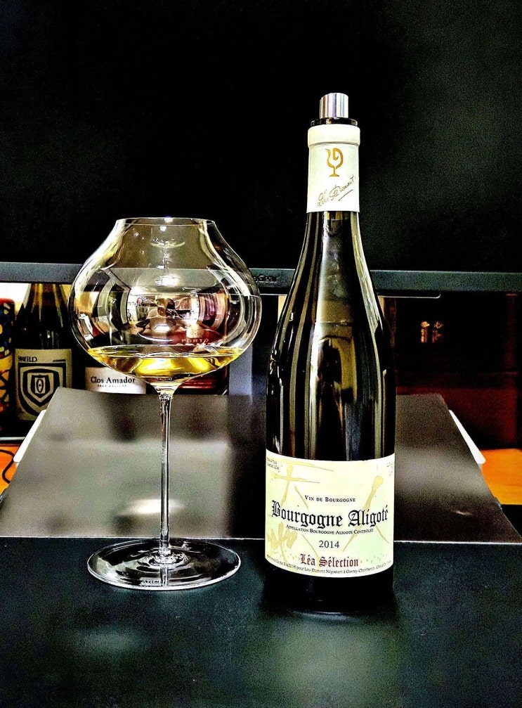  [화이트] 루 뒤몽 부르고뉴 알리고떼 레아 셀렉시옹 2014 Lou Dumomt Bourgogne Aligote Lea Selection 2014 프랑스 부르고뉴 화이트 와인 리뷰