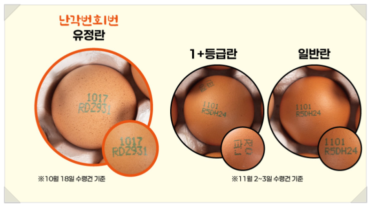  난각번호1번 유정란 계란 20구 달걀, 자연방사 무항생제로 가족 건강 지키기
