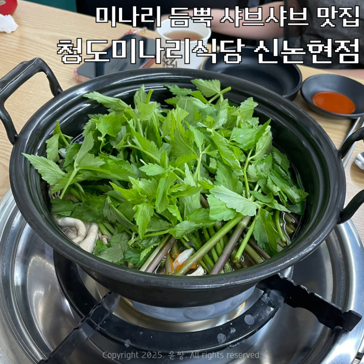  신논현역 점심 맛집 미나리 샤브샤브 청도미나리식당 내돈내산 후기