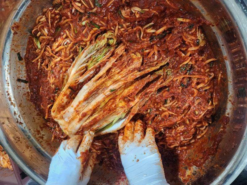한국농협김치 김장키트 밀키트 전라도식 후기