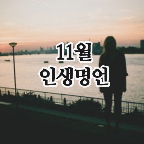  짧은 인생명언 글귀 모음 : 11월 마지막 주 마무리하며!