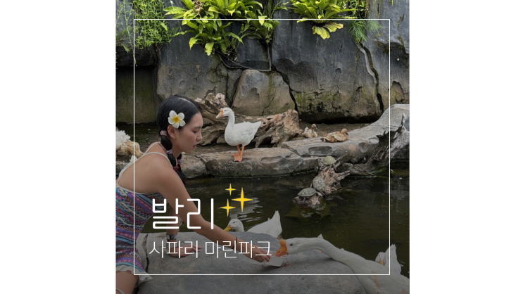  발리 남부투어 마린 사파리 A to Z 자유여행 가볼만한곳
