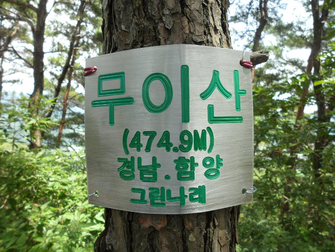무이산 사진 6