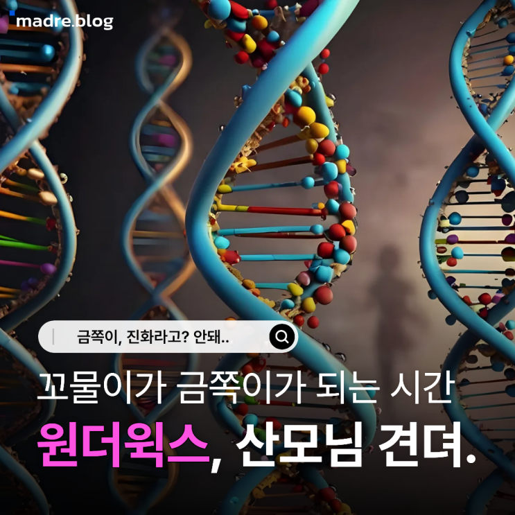  [원더윅스 시즌 1] 시작된건가, 금쪽이로의 진화