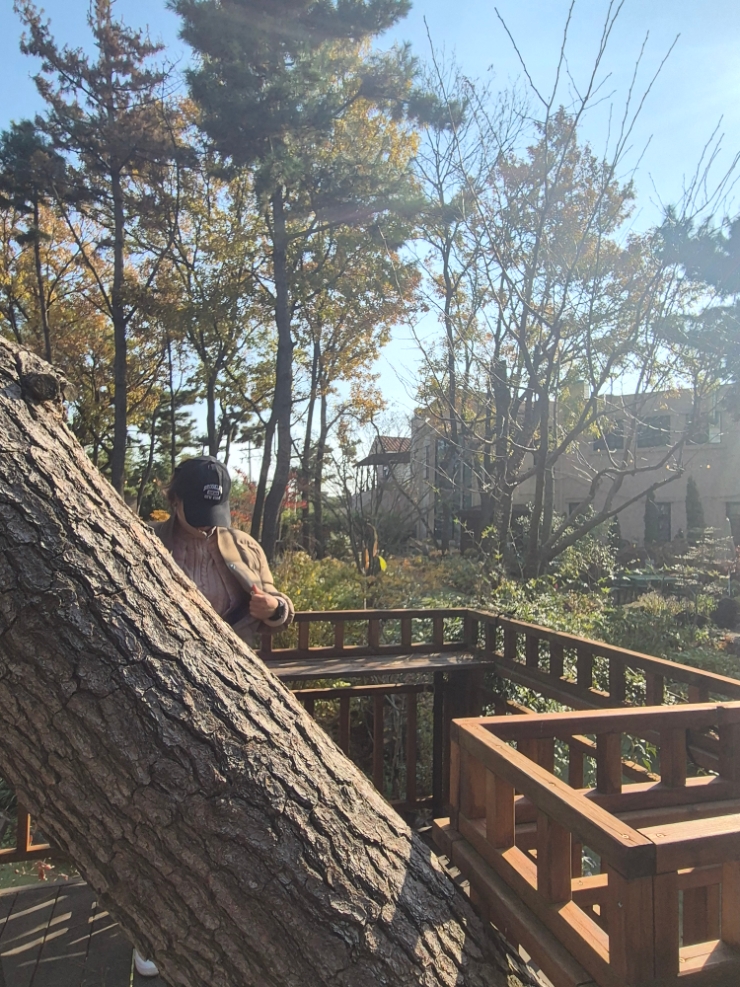태안 여행 중입니다