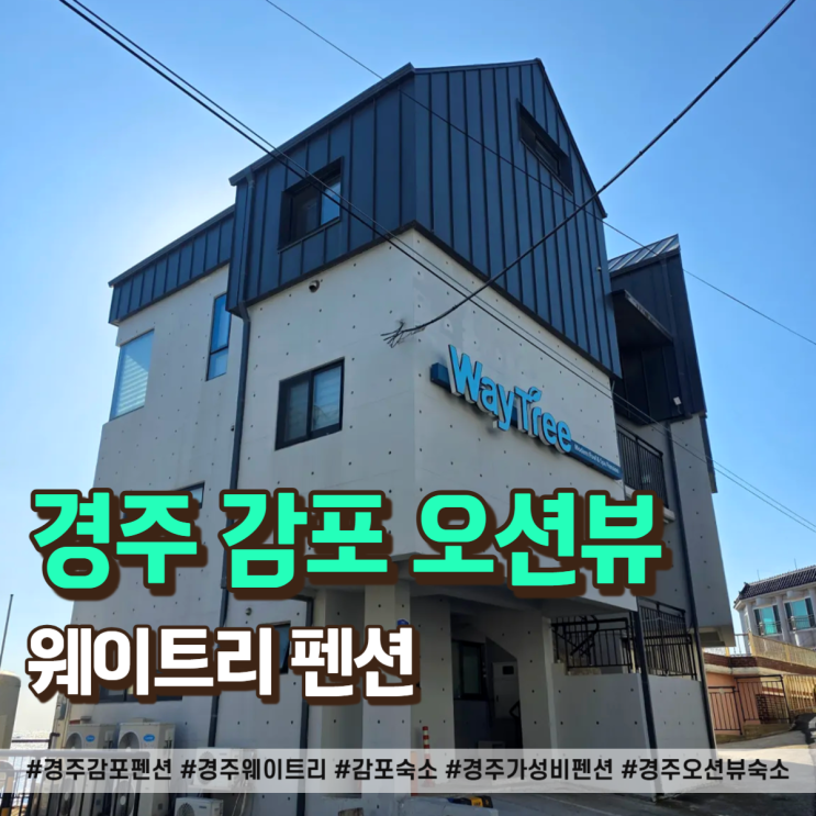  경주 감포 펜션 숙소 웨이트리 101호 오션뷰 가성비 숙소 찐후기