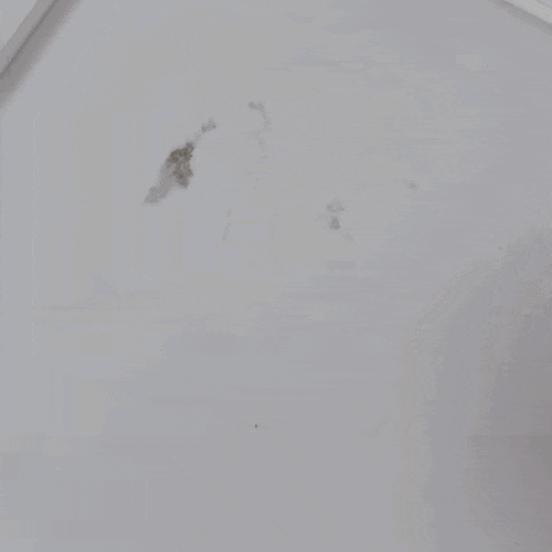  동성 만능클리너 이 제품 진짜 미쳤다… 가구얼룩, 기름때, 손때, 스티커자국, 매직자국까지 10초 컷 지우는 방법!