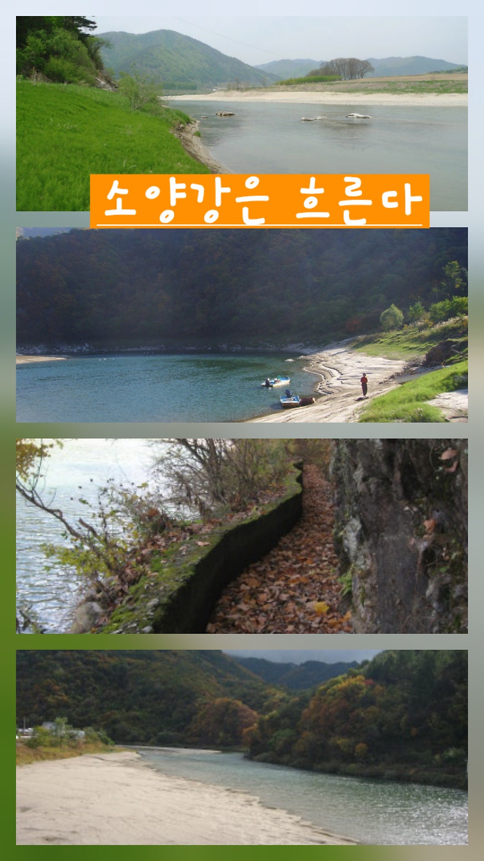 연엽골 사진 1
