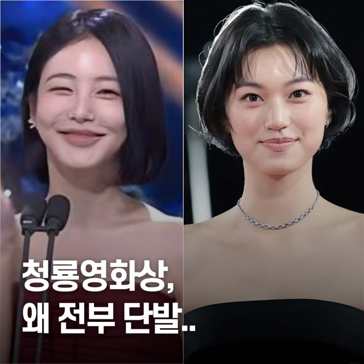  “레드카펫 뒤집은 변화..” 청룡영화상 여배우 헤어트렌드 집중 분석