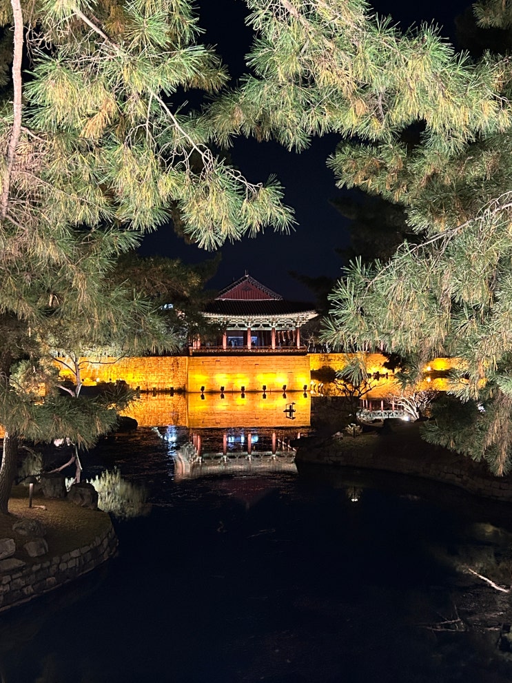  경북 경주 1박 2일 여행 코스⎮70세 이상 어르신, 휠체어로 갈만한 곳