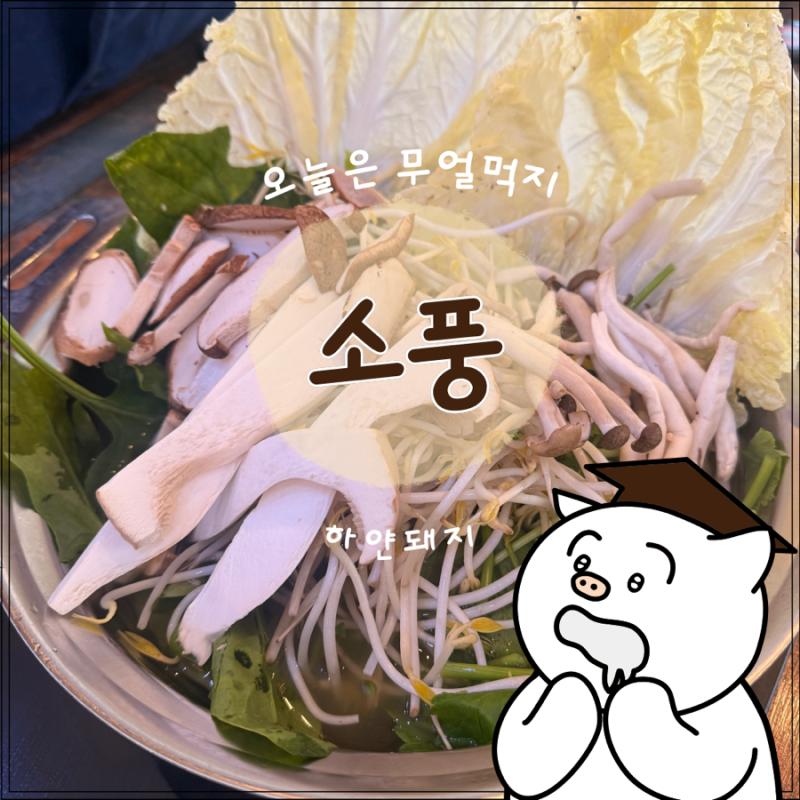 봉화 샤브샤브: 경북 봉화군, 소풍