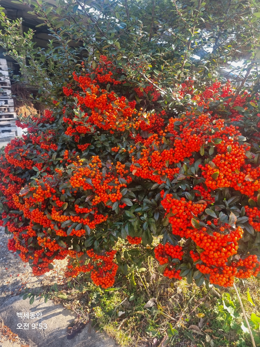 도림민박 사진 5