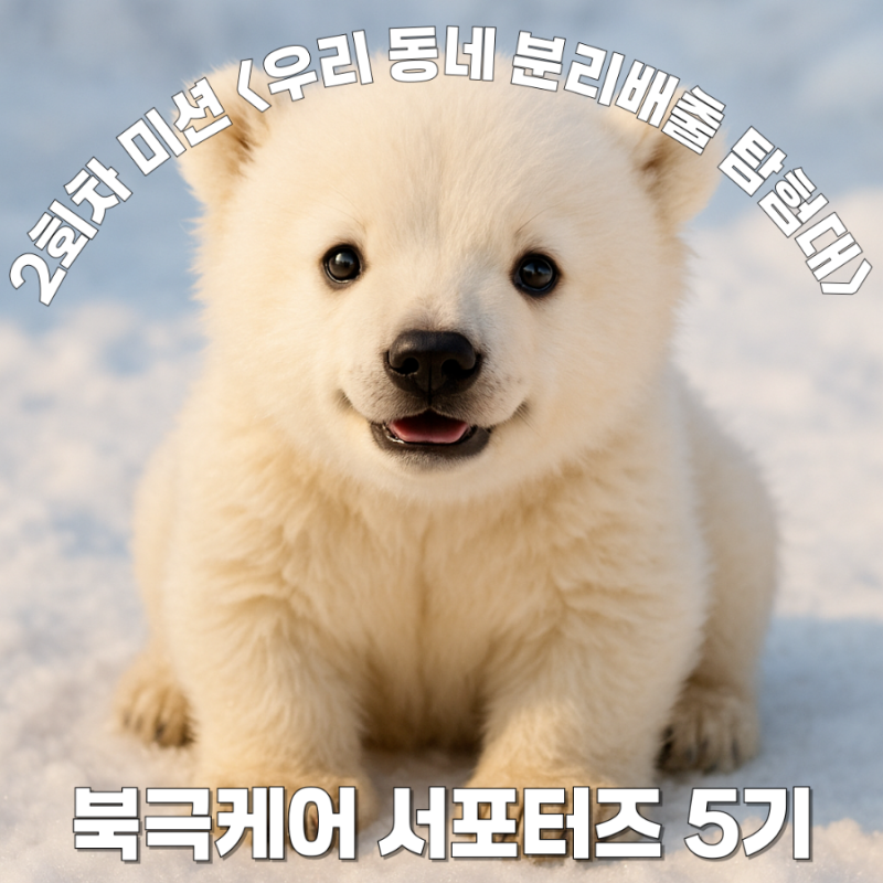[북극케어 서포터즈 5기] 북극케어 서포터즈 2회차 미션 <우리 동네 분....