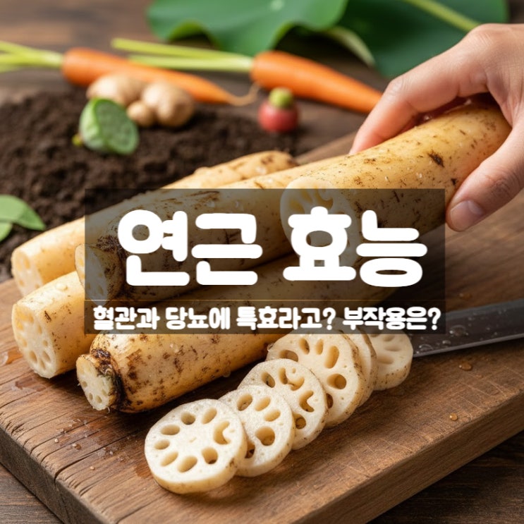  연근 효능 부작용 먹는법 – 겨울철 혈관 혈당 지키는 뿌리채소