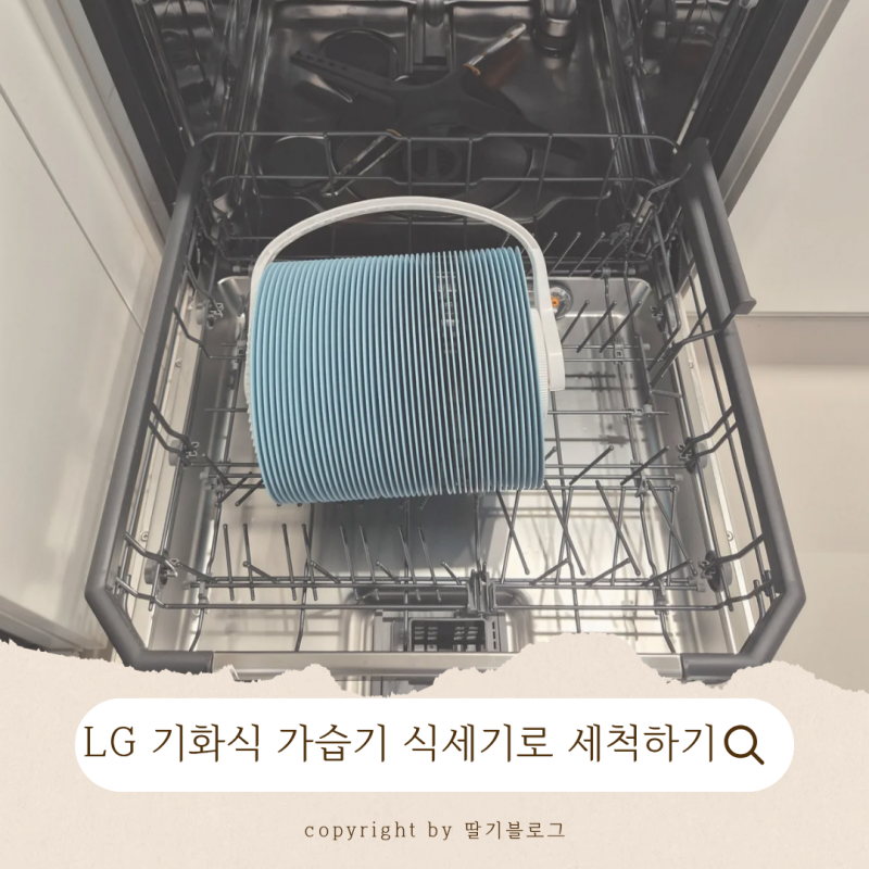 LG 퓨리케어 기화식 가습기 디스크청소, 식세기 세척방법_내돈내산