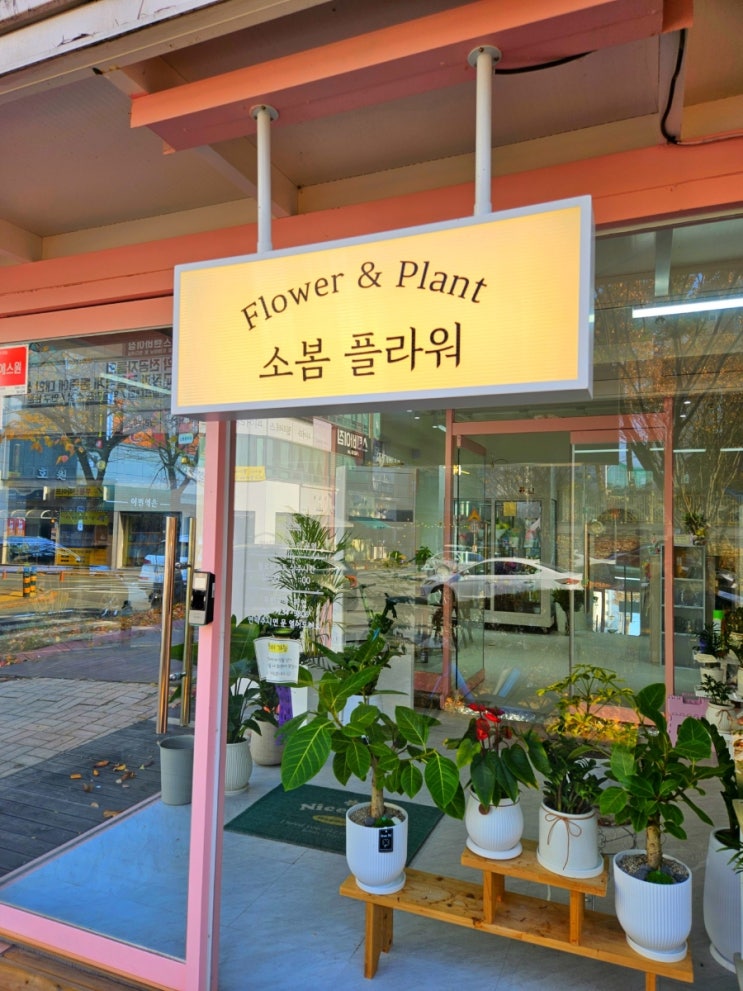  센스있는 꽃 컬러 조합 가경동꽃집 소봄플라워