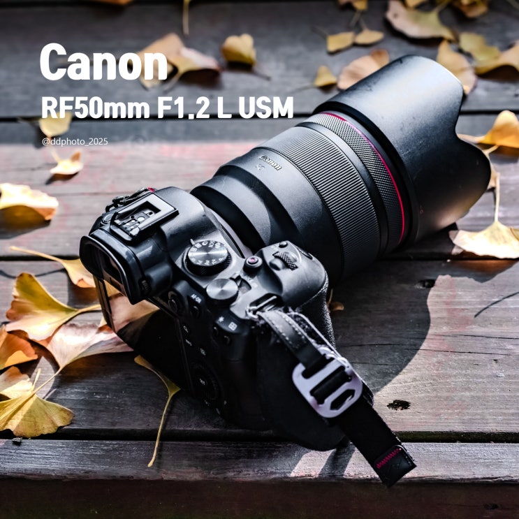 RF50mm F1.2 L USM, 다시 돌아온 단초점의 즐거움 — 남이섬 촬영 후기