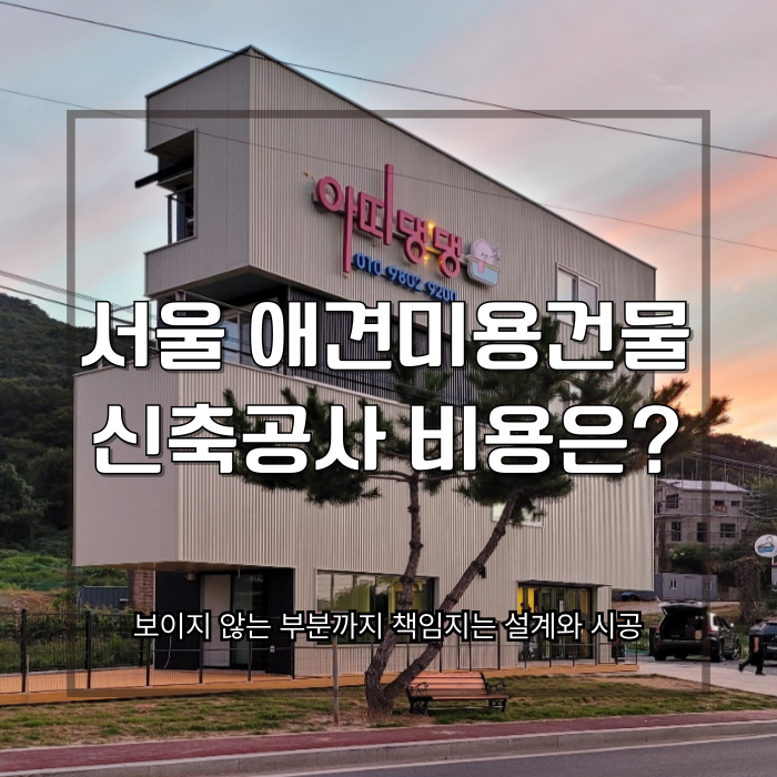 사진 3