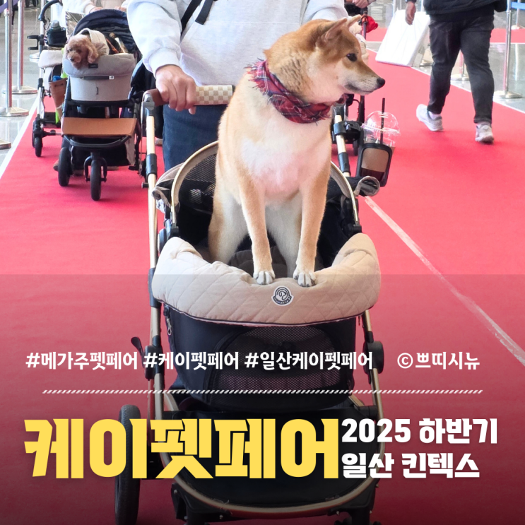  2025 일산 케이펫페어 첫날 방문 후기｜현장 분위기 & 득템한 제품 총정리
