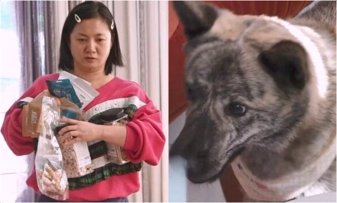  박나래 반려견 훈련 중 가치관 변화! 나 혼자 산다 복돌이와의 특별한 순간