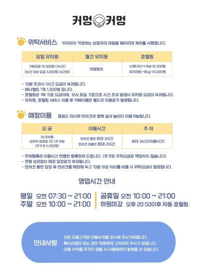 사진 5