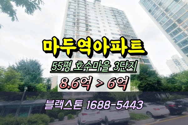  호수마을 3단지 경매 삼환유원아파트 55평